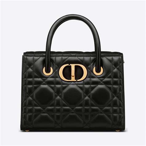 dior medium st honoré tote|The 10 Best Dior Bags for Women in 2023 .